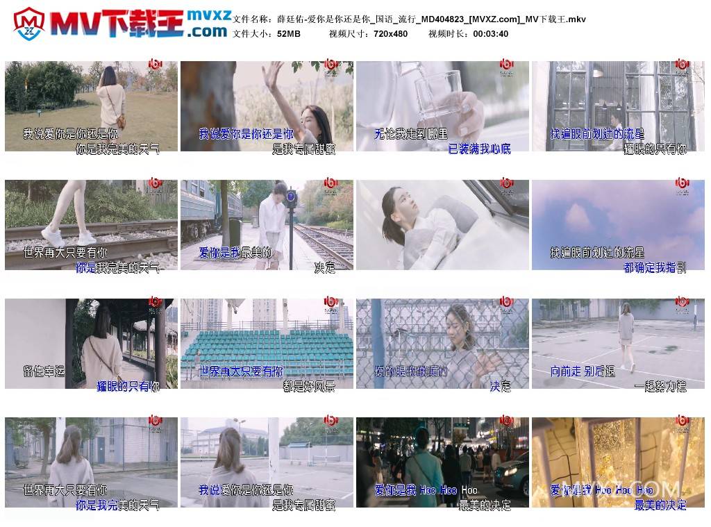 薛廷佑-爱你是你还是你_国语_流行_MD404823